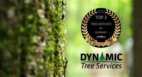 Dynamic Tree Services