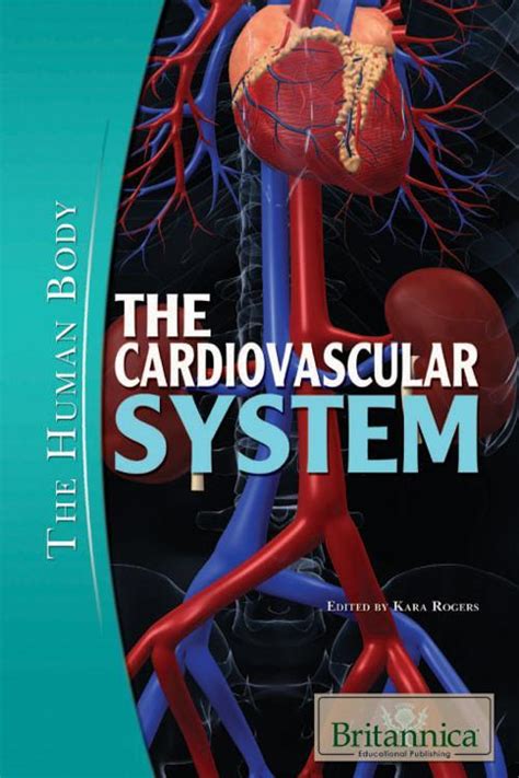 download Dynamics of the Vascular System