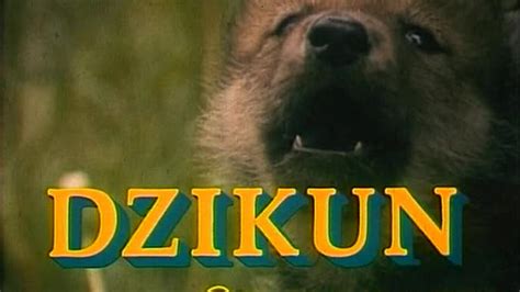 Dzikun (1988) film online,Andrzej Barszczynski,Darek Chodorowski,Ryszard Kotys,Jerzy Zygmunt Nowak,Tadeusz Szymków