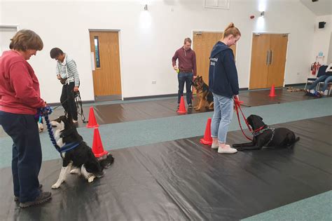 E C Canines - Puppy training Classes, Dog Training & Dog Behaviour