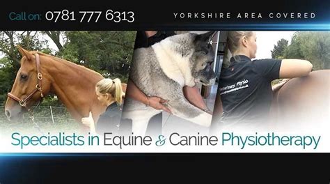 E GREEN Animal Physiotherapy