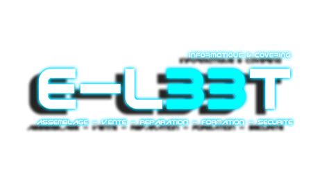 E Leet Informatique EURL à Quimper