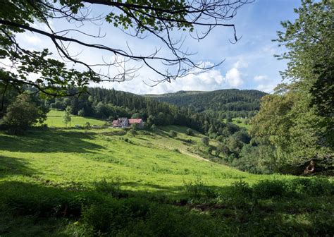 EARL DU CHRISTLESGUT à Breitenbach-Haut-Rhin