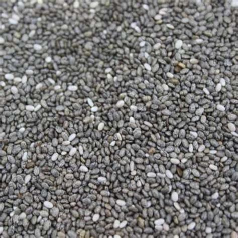 EARL LACROIX à Peuplingues