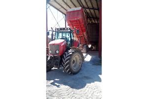 EARL Loustau à Momas