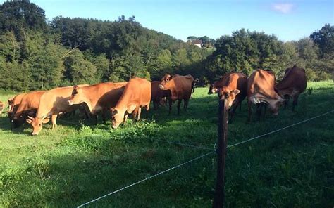 EARL MARCADE à Pouillon