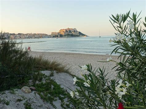 ECOLIMOUSINES à Calvi