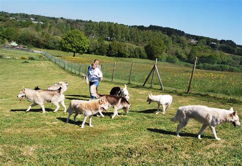 ELEVAGE AMAROK'S à Quimper