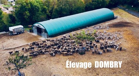 ELEVAGE DOMBRY à Meynes