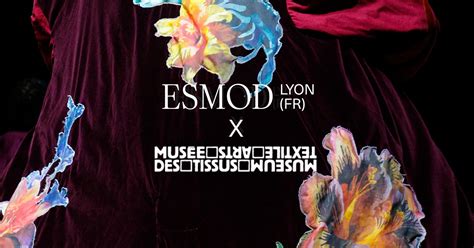 ESMOD Lyon à Lyon