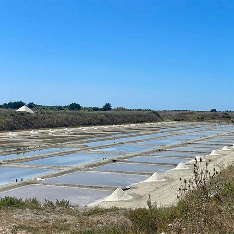 EURL Jimmy De Backer à Loix