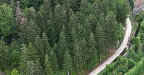 EXCELEC à Les Neyrolles