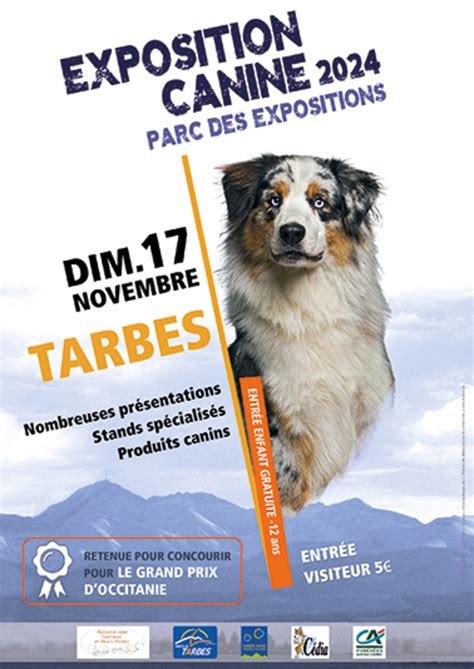 EXPOSITION à Tarbes