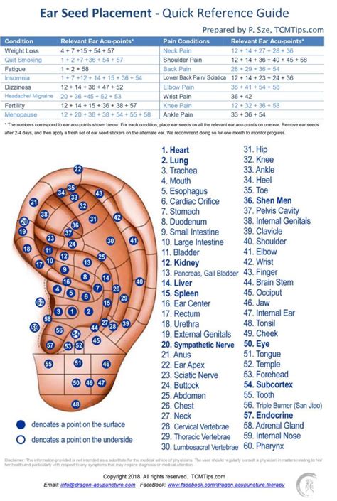 Ear Seeds Chart