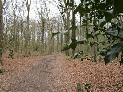 Eartham Woods Car Park