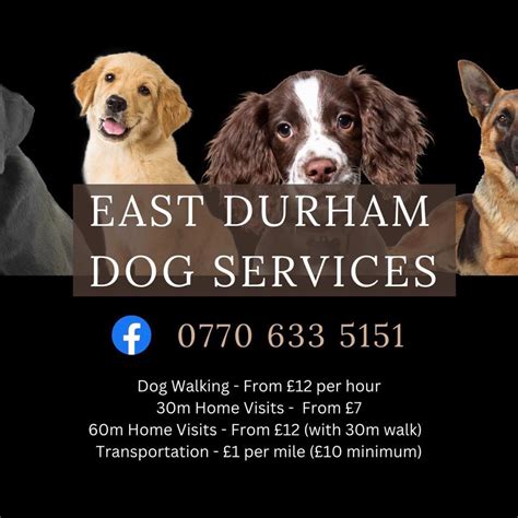 East Durham Dog Services