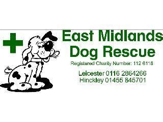 East Midlands Dog Training