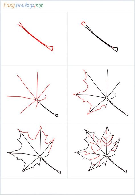 Easy Fall Leaf Drawing