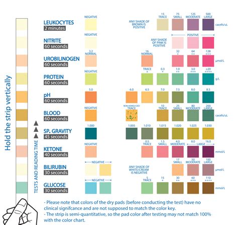 Easy Home Parameter Urinalysis Reagent Test Strip Color Chart