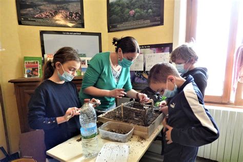 Ecole Primaire à Merlines