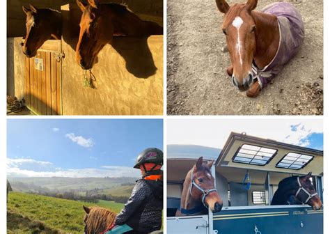 Ecurie Confluence à Valherbasse