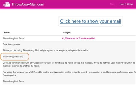 Editable Fake Email Template