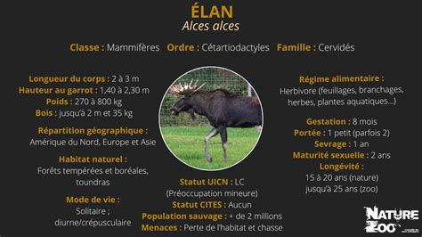 Elan Nature 12e à Paris