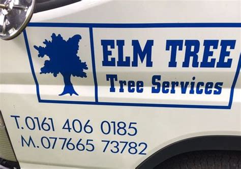 Elm Tree Tree Services