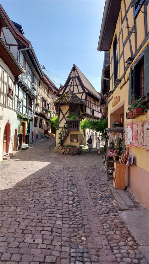 Elsass Reprog à Muntzenheim