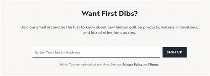 Email Opt In Form Examples