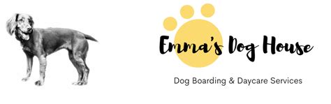 Emma’s Dog House Bristol - Dog Boarding & Daycare in my home