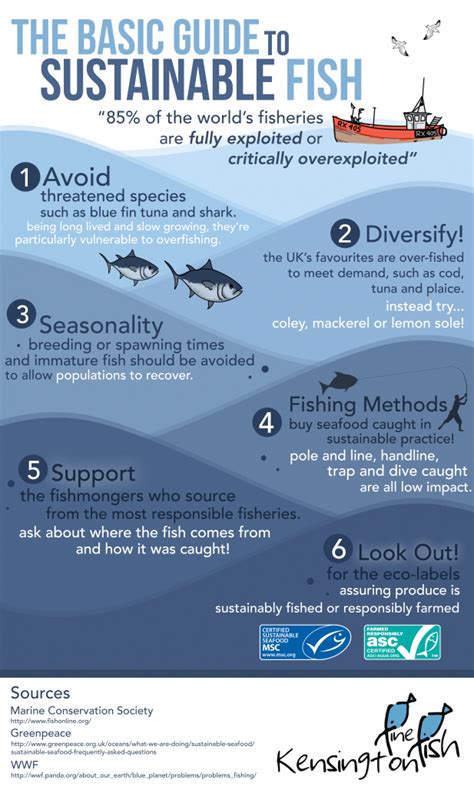 Encouraging Sustainable Fishing Practices