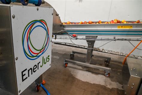 Enerjus à Anglemont