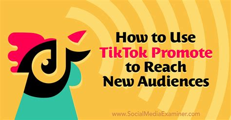 Engage With Your Audience on Tik Tok