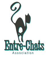 Entre-Chats à Figeac