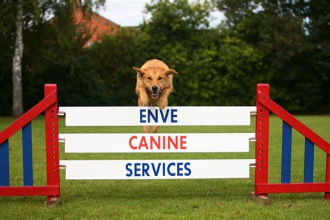 Enve Canine Services Ltd