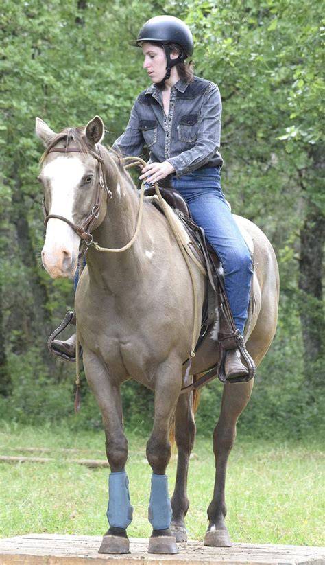 Equi Feeling à Chaux