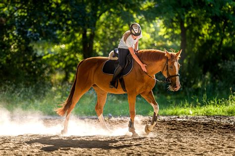 Equitation