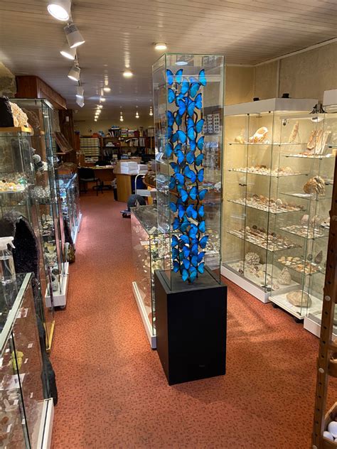 Espace Collections à Quimper