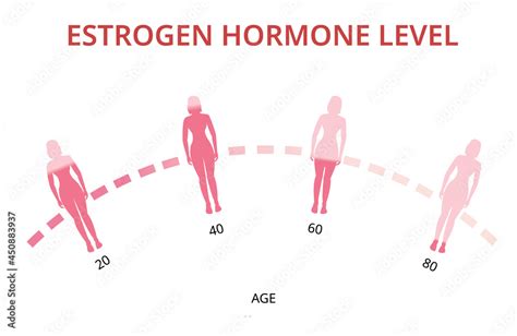 Estrogen Hormone Levels Chart