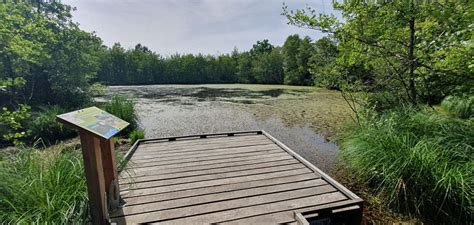 Etang à Cras