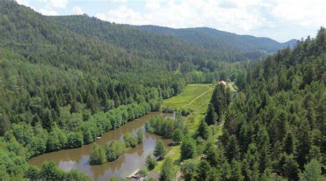 Etang De La Grenouillere à Les Rouges-Eaux