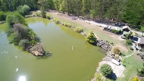 Etang Mathieu à Messery