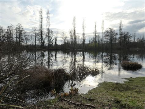 Etangs de Passins ENS à Arandon-Passins