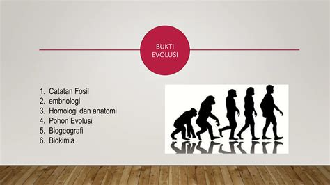 Evolusi