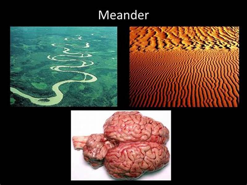 Example Of Meander Pattern In Nature