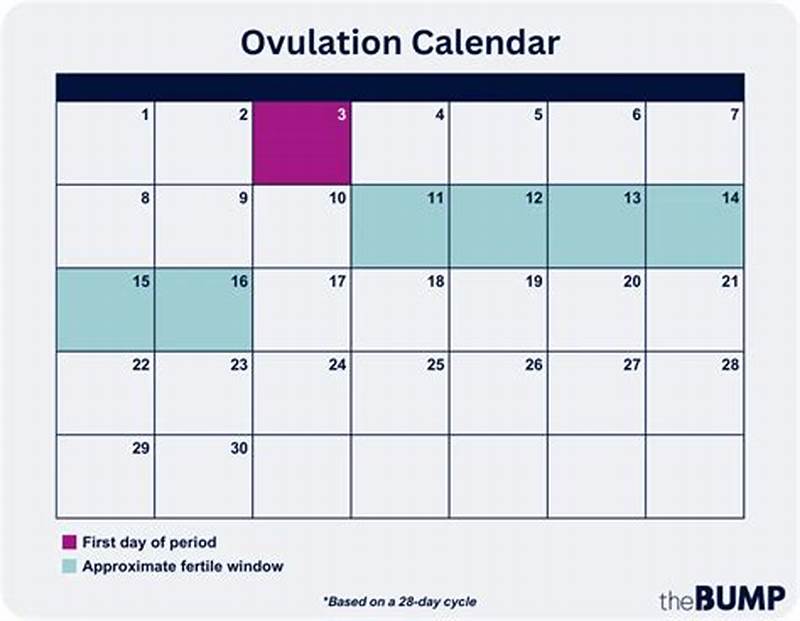 Example Ovulation Calendar