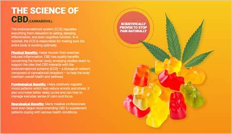 Exploring the Benefits of Dr Oz CBD Gummies Amazon: A Comprehensive Guide