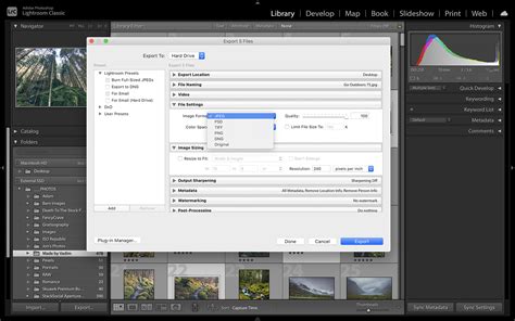 Export As Catalog Lightroom