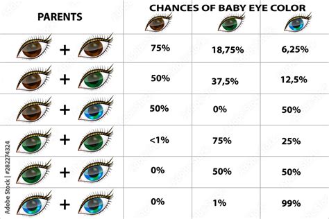 Eye Color Genetics Chart Hazel